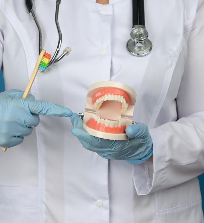 dentist training a patient on bridge care 